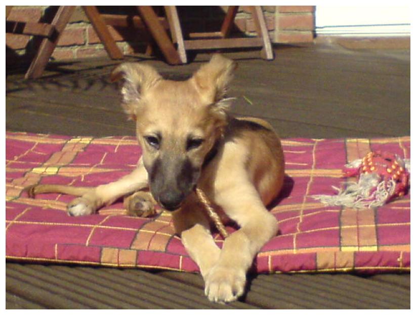 Ein schner Tag! Yasu zauberhaft ...