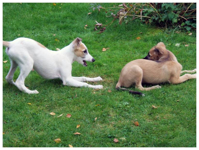 Carlos besucht Alex (