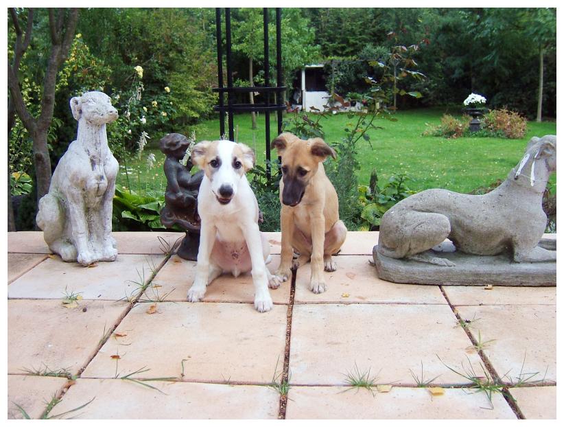 Brder zwischen den Kumpels aus Stein