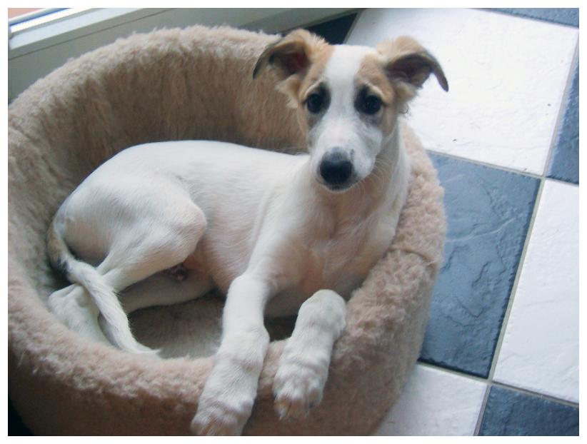 Besonders s schauen konnte er schon immer!