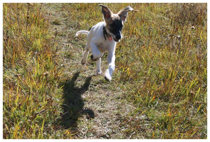 Lili fliegt! (14 Wochen)