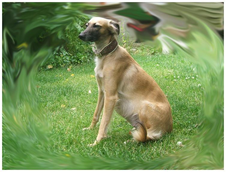 Aglaia kurz davor ...