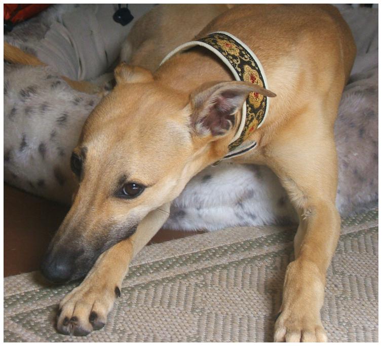 Noelle macht auch mal Pause ...