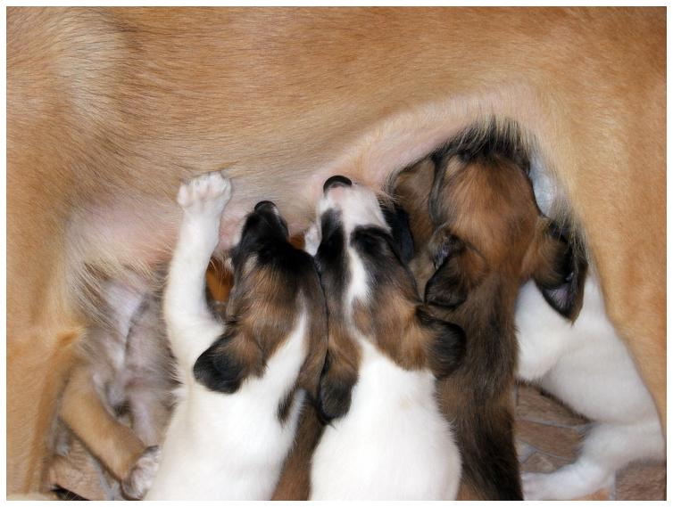 An der Bar bedient man sich inzwischen im Stehen!