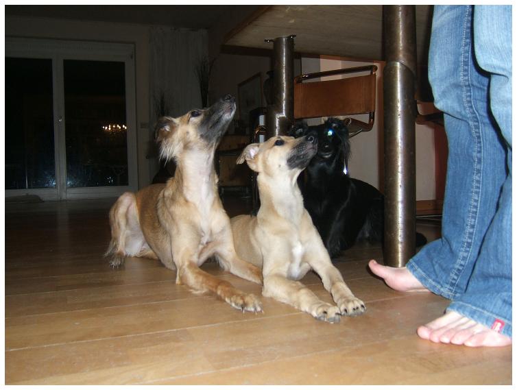 Aglaia und Noelle in aufmerksamer Eintracht