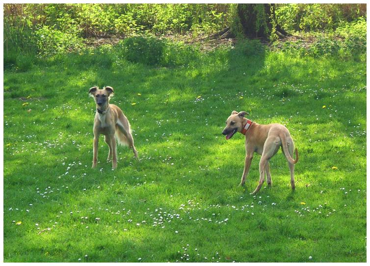 Aglaia und Noelle beim Spiel an den ersten Frhlingstagen