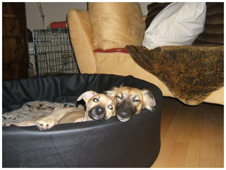 Aglaia und Noelle bei der Siesta