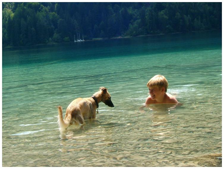 Aglaia im Weissensee