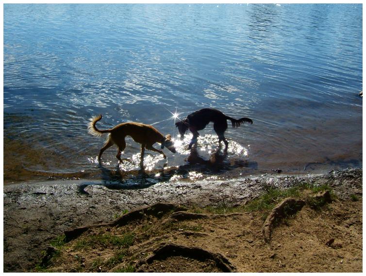 Djamil und Aglaia am Wasser