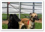 (26/28): Djamil und Aglaia