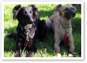 (27/28): Djamil und Aglaia in Sonne und Schatten