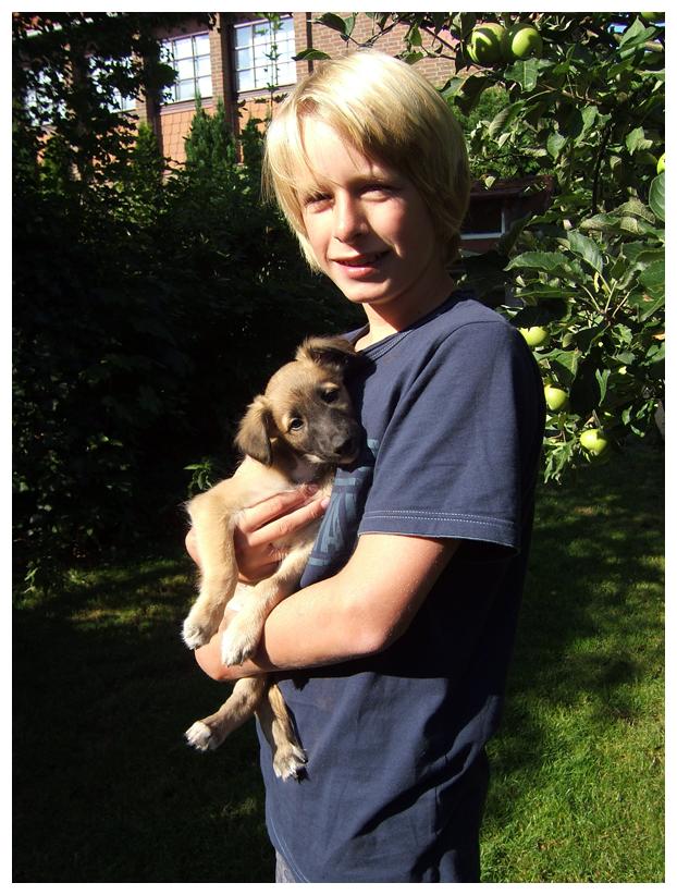 Sternenstaub auf Silvans Arm.