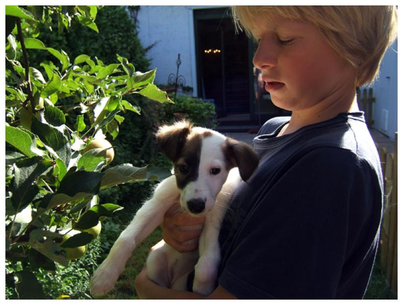 Silvan und Sommernachstraum.