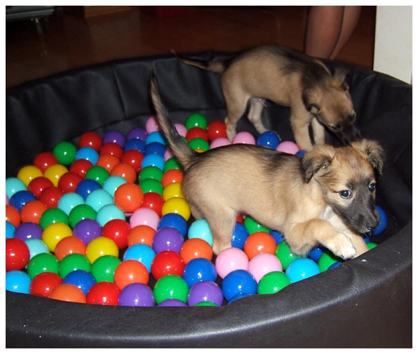 Alles so schn bunt hier ...