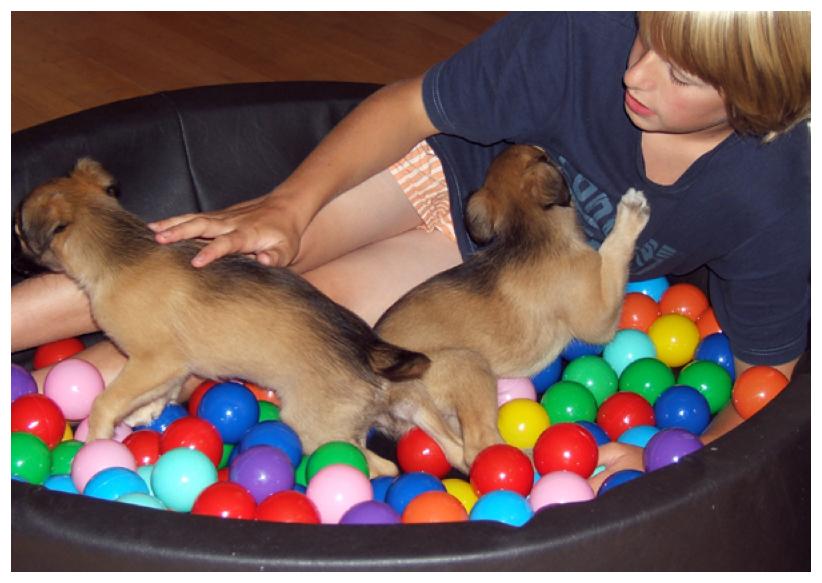 Auch was fr Jungs ...