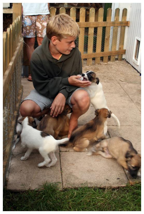 Wiedersehen mit Leonart.