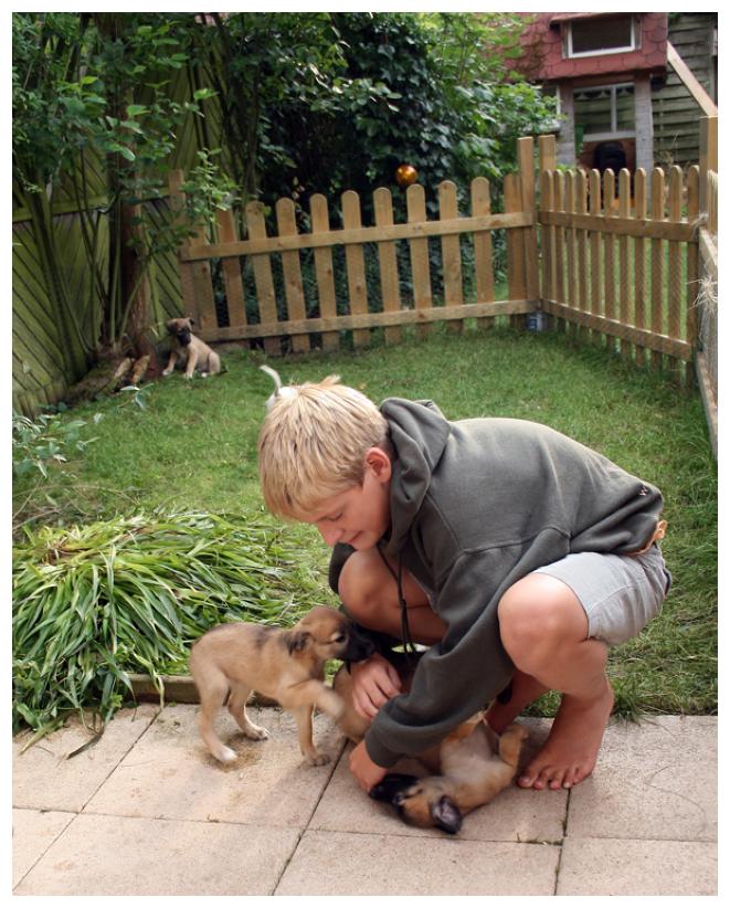 Ein prima Spielkamerad!