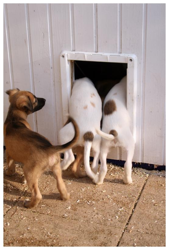 Na gut, wir gehen zusammen!