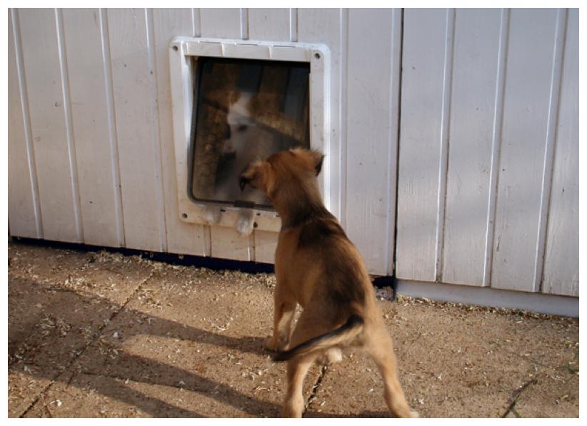 Wie ist es da drinnen?