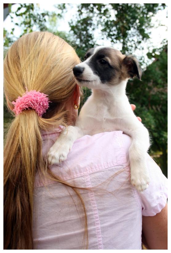 Siebenschn macht seinem Namen alle Ehre!