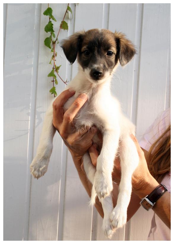 Engelchen die Stolze!