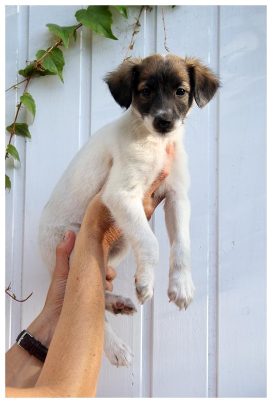 Immer noch Fotos machen?