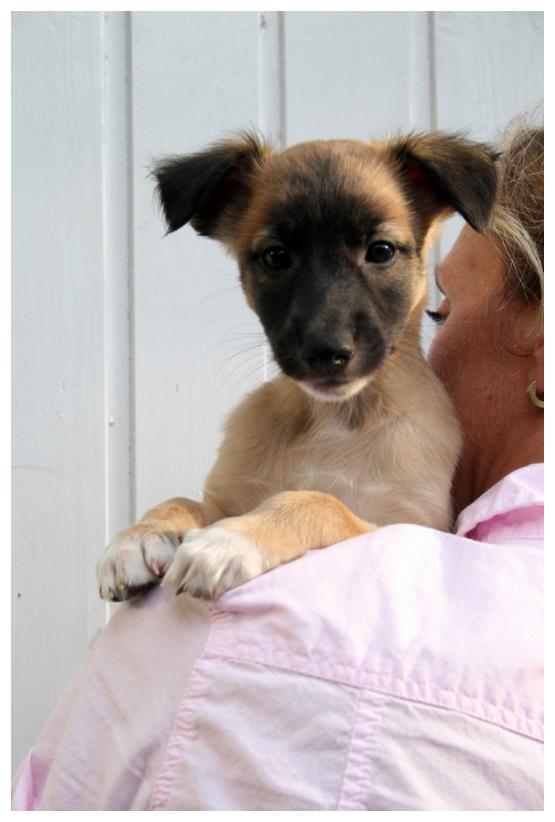 Seelenglanz, die Stolze!