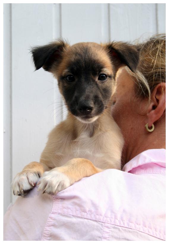 Seelenglanz, die Aufgeweckte!