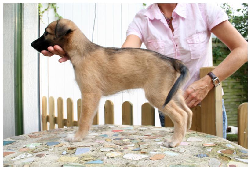 Sommerseide bt auch mal das Stehen!