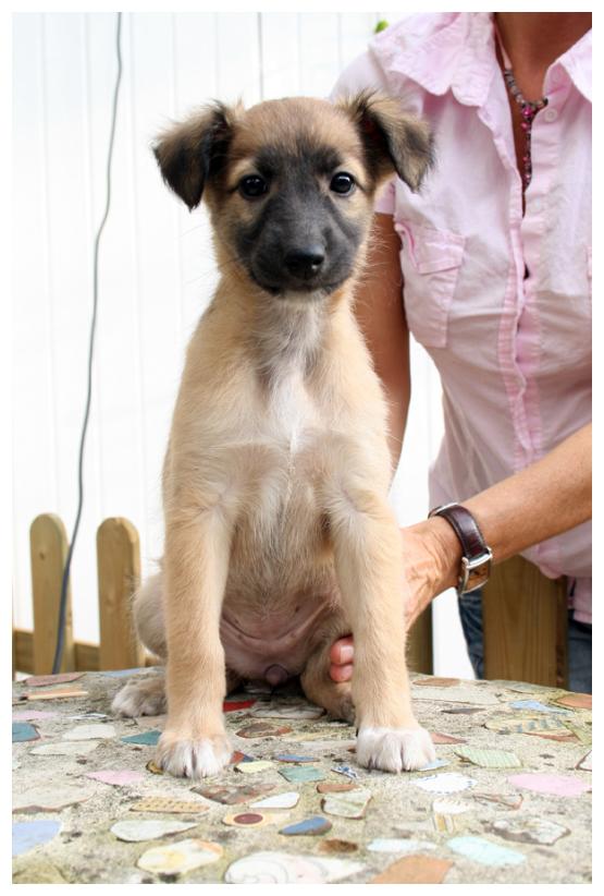 Sommerseide ist entzckend.