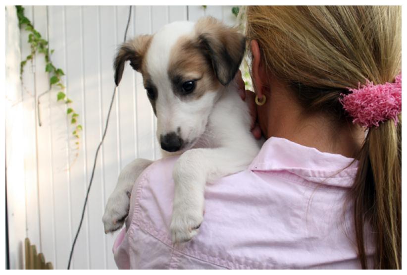 Silbersee ist am liebsten auf dem Arm!