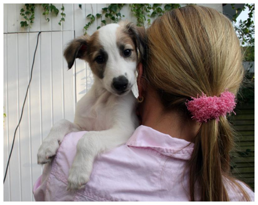 Und dann schaut er so niedlich wie er kann ...