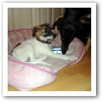 (42/43): Zwei echte Freundinnen!