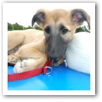 (39/43): Ach, lass mich doch mal dsen ...