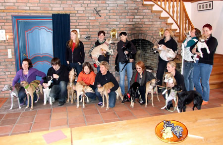 Gruppenbild mit Hunden